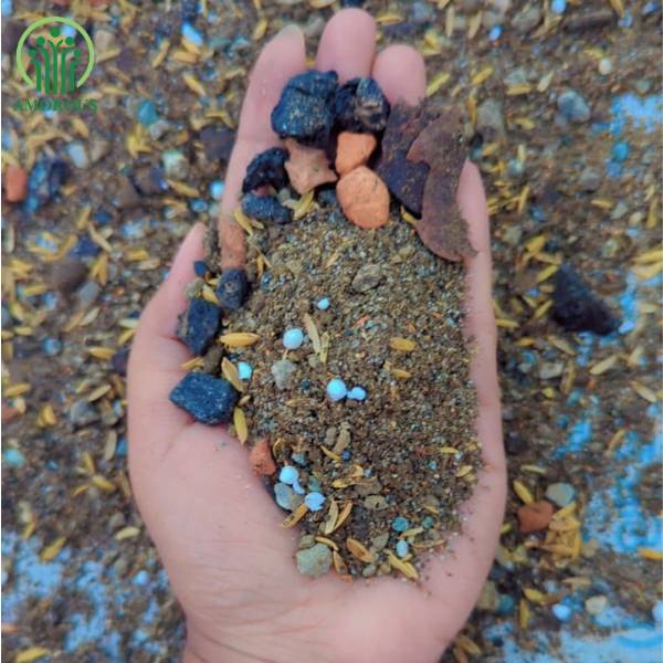 বনসাই মিডিয়া - ১৩০ টাকা কেজি