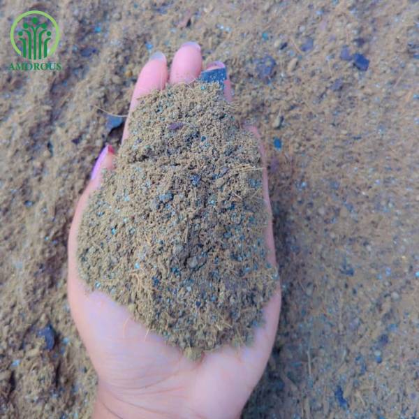 লাকি বাম্বু মিডিয়া -কেজি  ১২০ টাকা