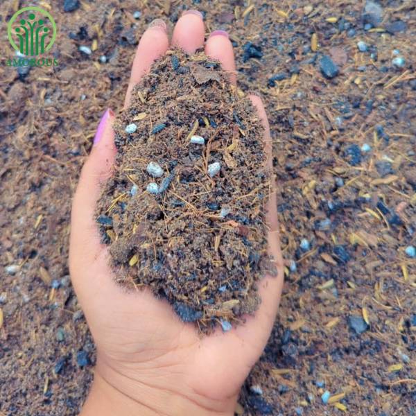 পটিং সয়েল মিডিয়া