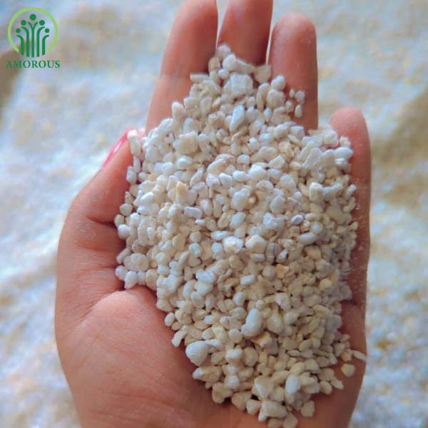 পারলাইট ১০০ গ্রাম  ২৫০ টাকা