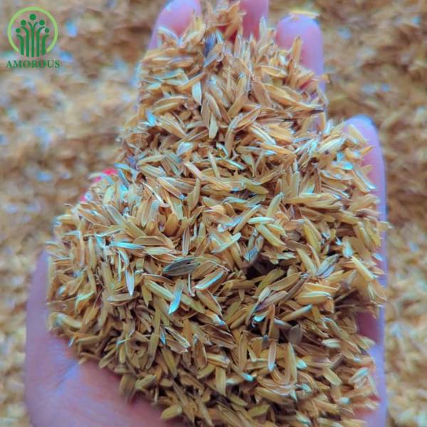 চিটা মিডিয়া কেজি ৮০ টাকা