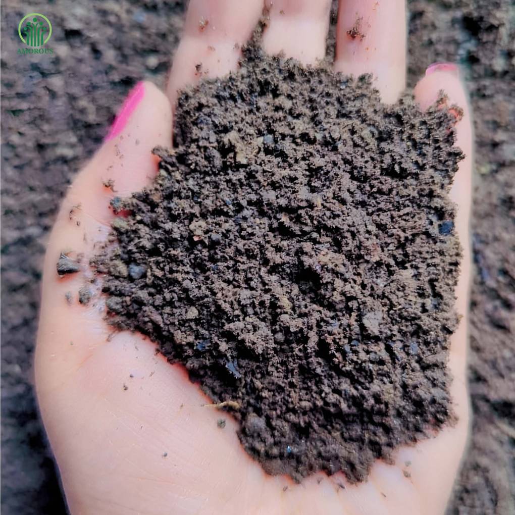 রেডি মিক্স মাটি – Ready Mix Soil  ৫০ কেজি বস্তা
