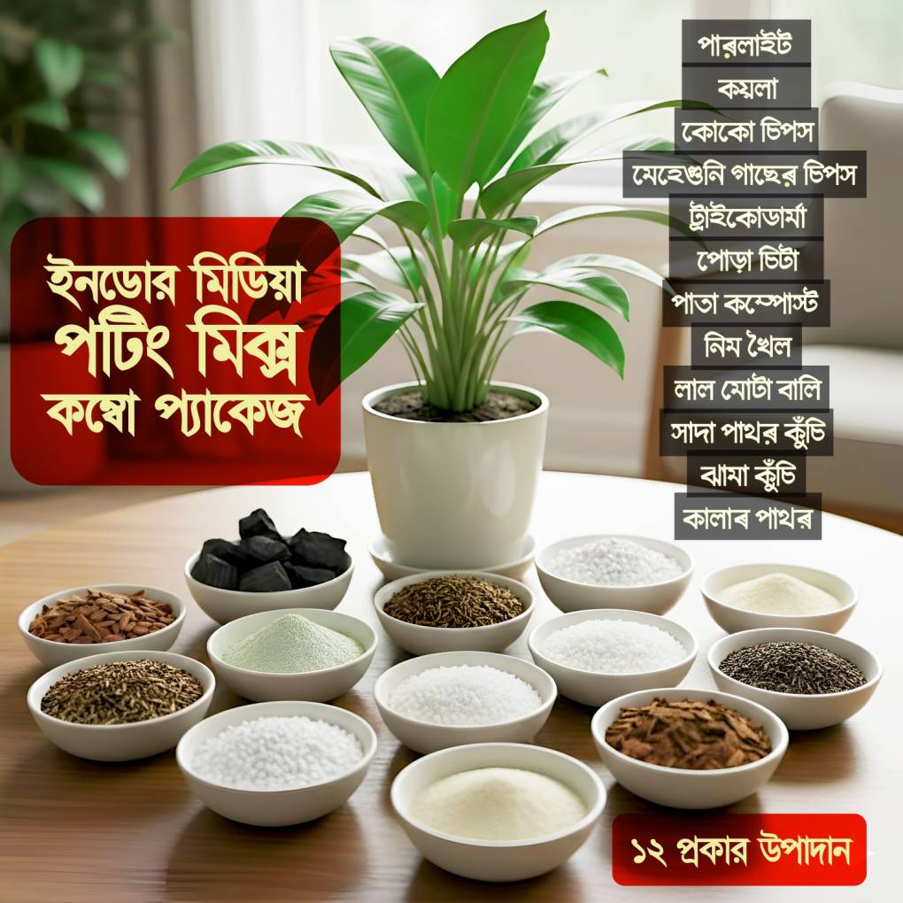 ইনডোর পটিং মিক্স কম্বো 990 টাকা