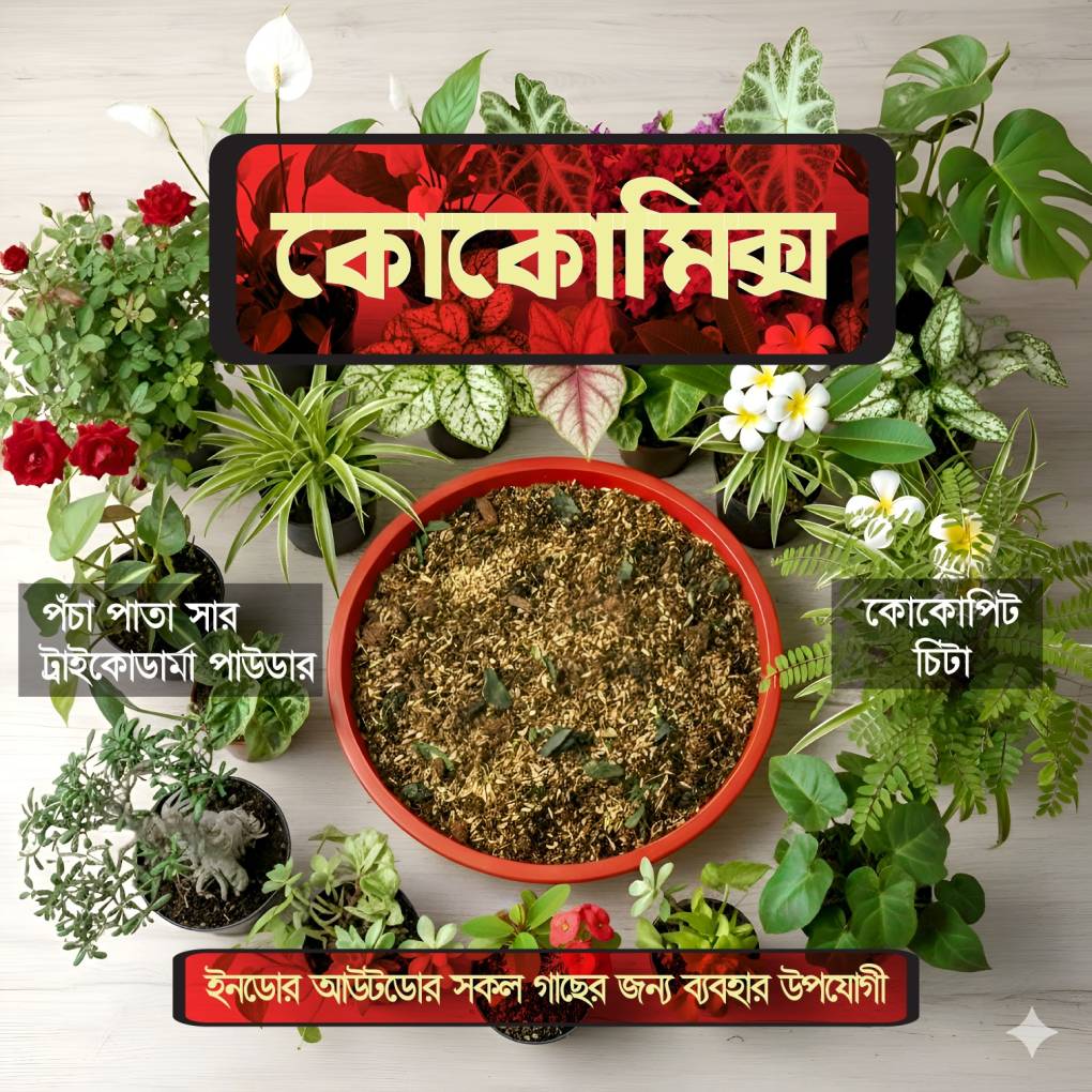 কোকোমিক্স কম্বো ৭৯০ টাকা