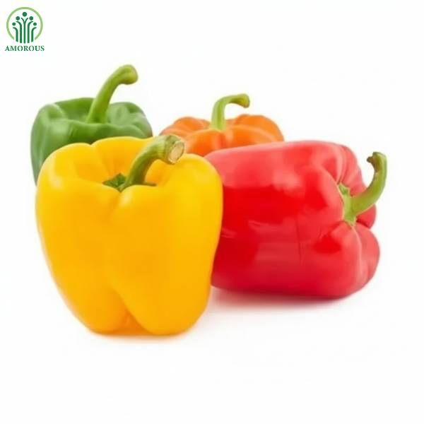 হাইব্রিড ক্যাপসিকাম বীজ