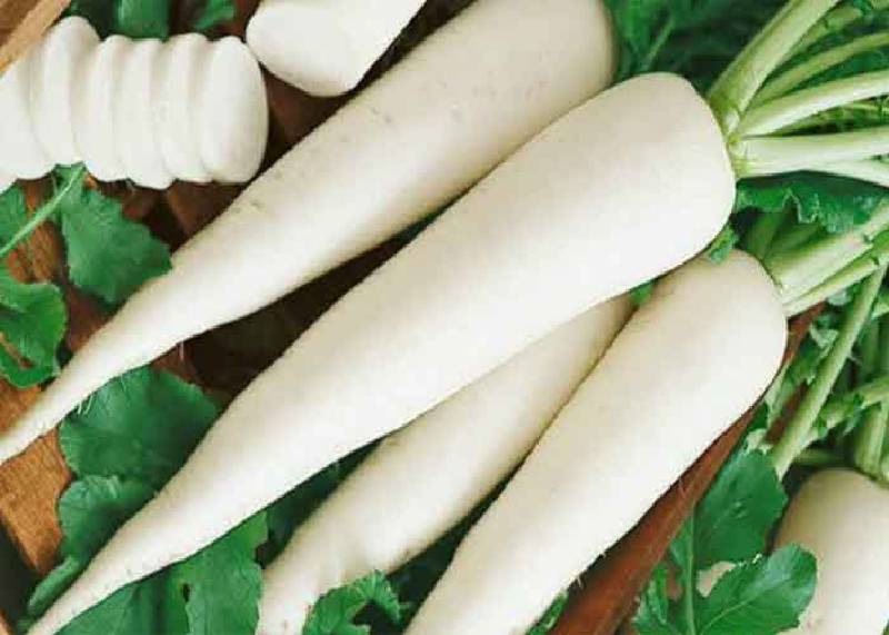 হাইব্রিড মুলা