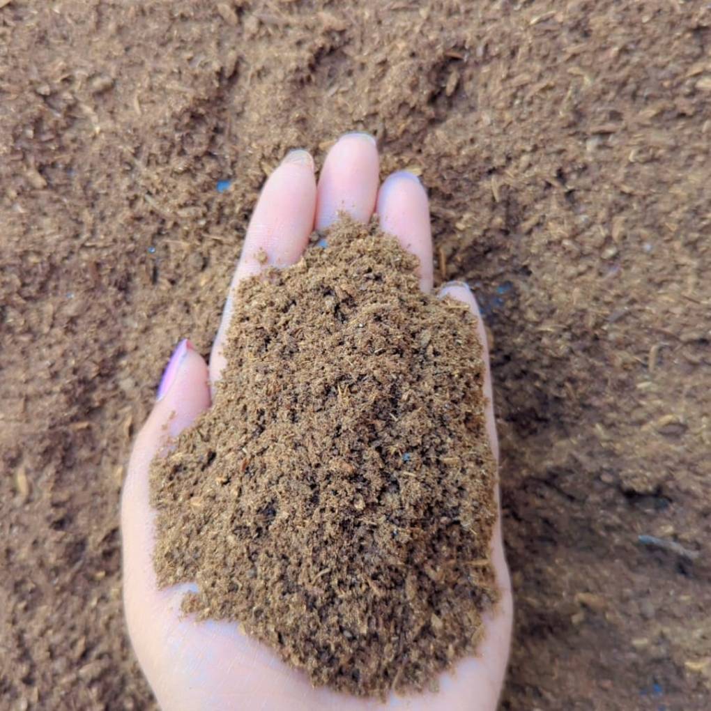 চিটা কম্পোস্ট