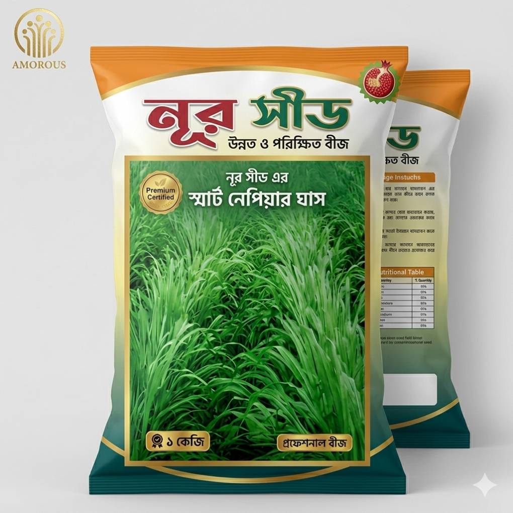 ইম্পোর্টেড স্মার্ট নেপিয়ার ঘাস