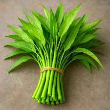 হাইব্রিড কলমি শাক