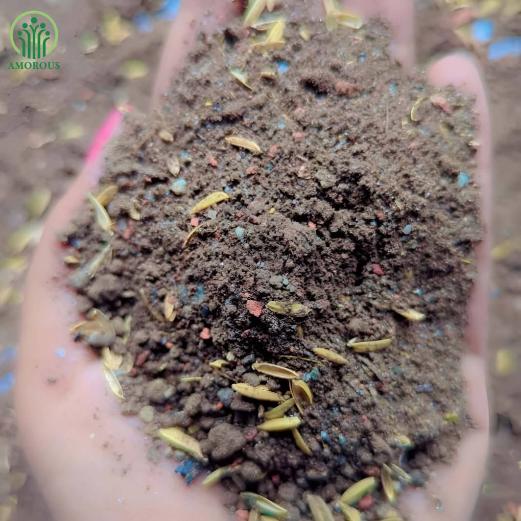 গোলাপ মিডিয়া -১২০ টাকা