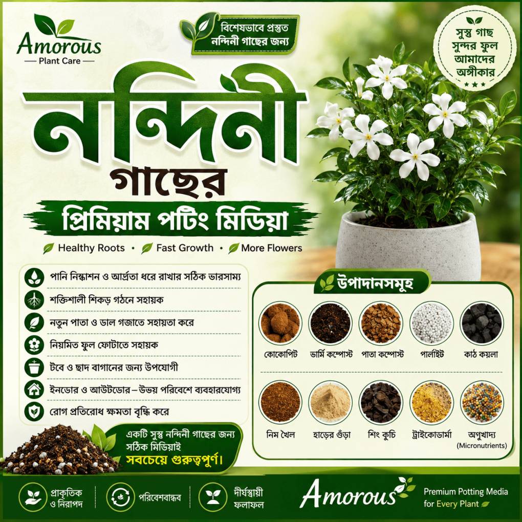 নন্দিনী গাছের প্রিমিয়াম পটিং মিডিয়া